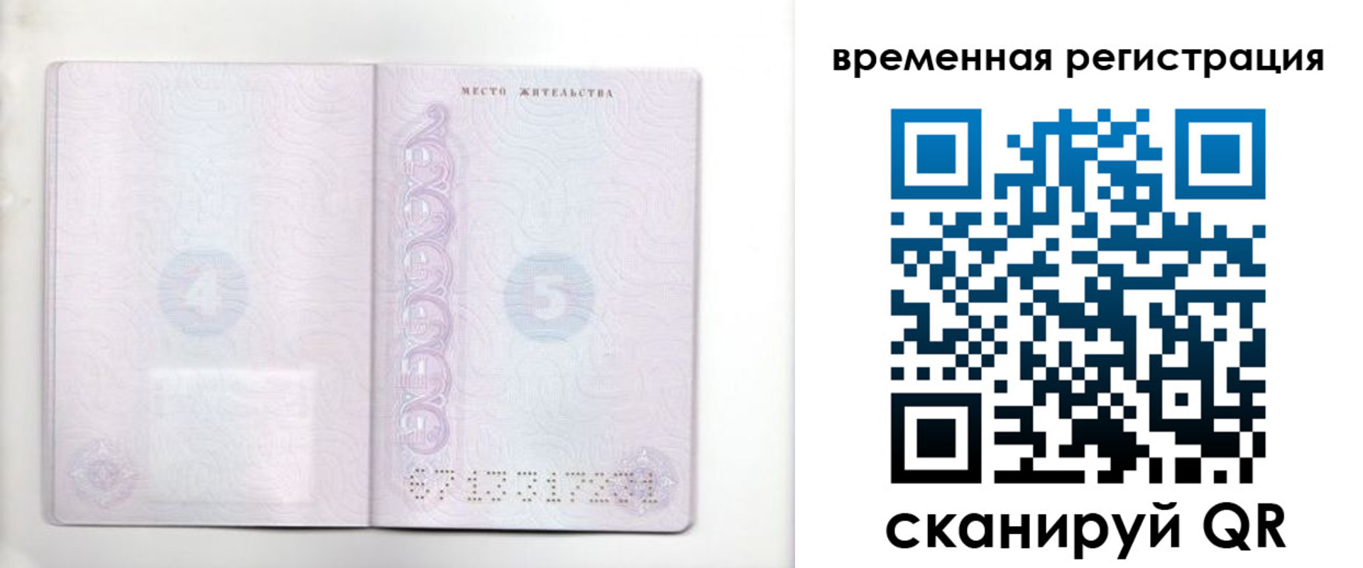 регистрация для дет. сада в Луге